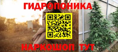 гидра Ливны