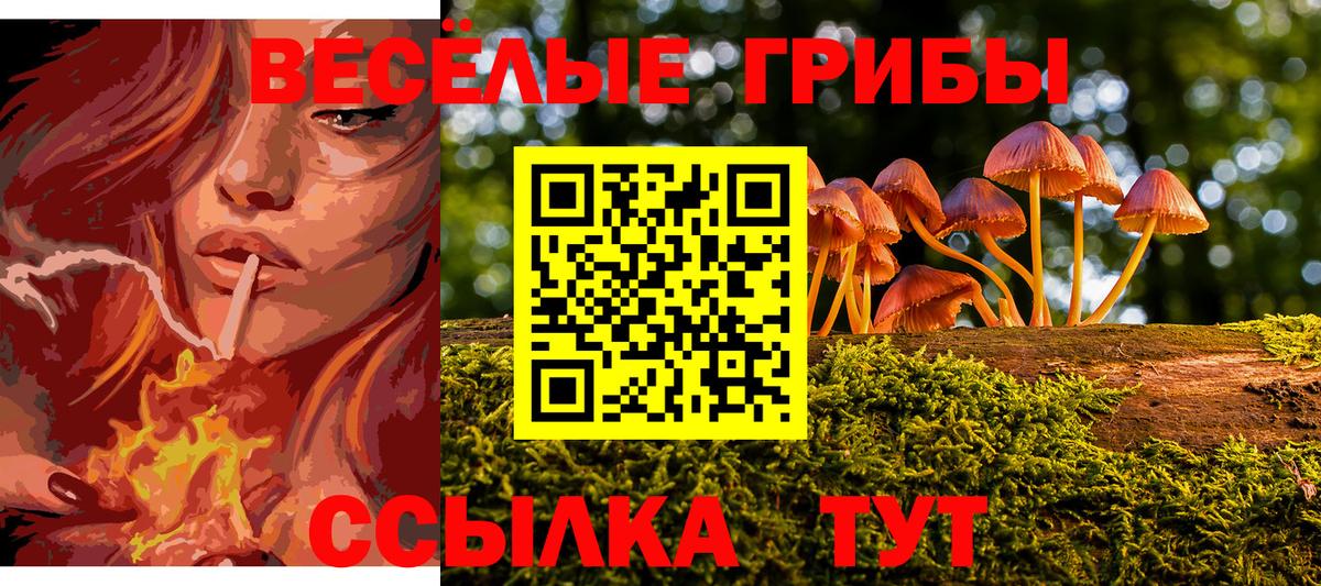 Псилоцибиновые грибы прущие грибы  Вход с VPN  Калуга  Псилоцибиновые грибы GOLDEN TEACHER 